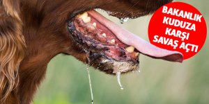 Kırmacı: "Havadan aşılama yapılacak"