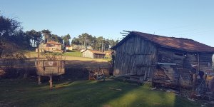 Yan yana olan 3 evin farklı mahalleye bağlı olması şaşırtıyor 