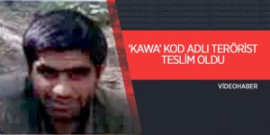 Doğu Karadeniz’de terör operasyonları hız kesmiyor