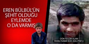 Teslim olan PKK'lı terörist konuştu