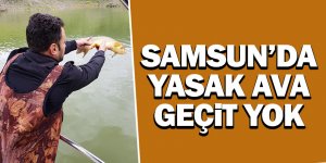 Yasak av ürünü 200 kilo sazan balığı baraja salındı