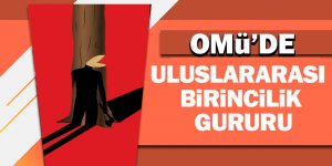 Turkaya'dan uluslararası başarı