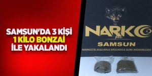 İstanbul'dan bonzai getirirken yakalandılar