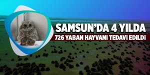 Samsun’da 726 yaban hayvanı doğaya geri bırakıldı 