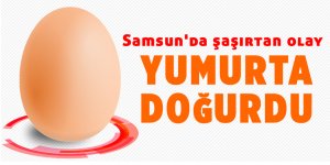 Samsun'da yumurtanın içinden bakın ne çıktı