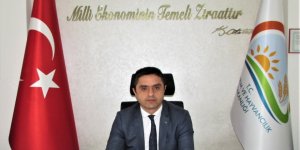 Taş: Mantarları ayırt etmek güç