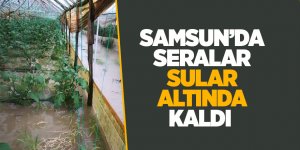 Seralardaki ürünler sular altında kaldı