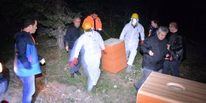 Kunduz Ormanları'nda karıncalara gece yarısı operasyonu