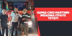 İki duvar arasında sıkışan martıyı itfaiye kurtardı