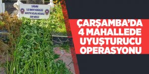 Çarşamba'da uyuşturucu operasyonları 