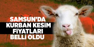 Kasaplar küçükbaşı 150, büyükbaşı da 400 liradan kesecek 