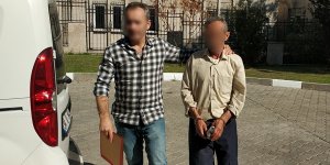 121 kök dişi Hint keneviri bitkisi ile yakalandı