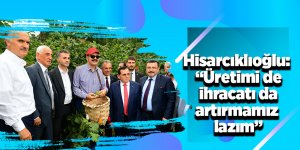 Hisarcıkoğlu’ndan fındık açıklaması