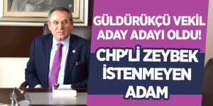 CHP'li Zeybek partisinden yeniden milletvekili aday adayı oldu