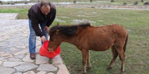 'Poyraz' merkezin maskotu oldu