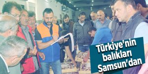 Samsun Balık Hali'nde yoğunluk