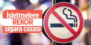 Son 10 yılda 330 milyon liradan fazla ceza kesildi