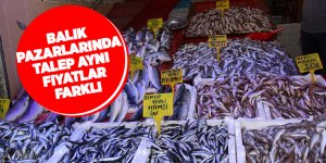 Balık pazarlarında talep aynı fiyatlar farklı