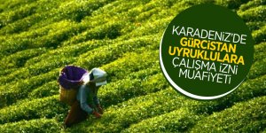 Karadeniz’de Gürcistan uyruklulara çalışma izni muafiyeti