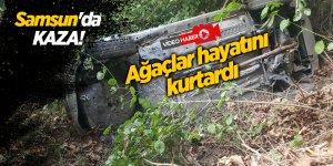 Kızılırmak'a uçmasını ağaçlar önledi