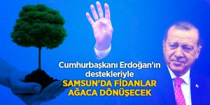 55 bin 555 fidan toprakla buluşacak