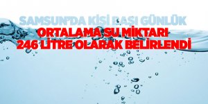 Samsun'da su kaynaklarından 115,3 milyon metreküp su çekildi