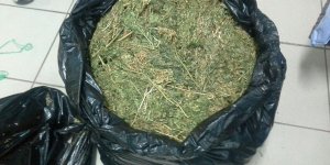 Samsun'da 3 kilo 850 gram kubar esrar ele geçirildi