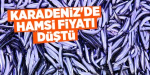 Samsun'da hamsinin fiyatı 10 liraya düştü