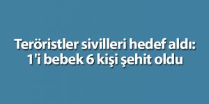 Teröristler sivilleri hedef aldı: 1'i bebek 6 kişi şehit oldu