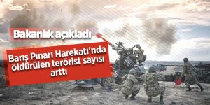 Barış Pınarı Harekatı'nda öldürülen terörist sayısı arttı