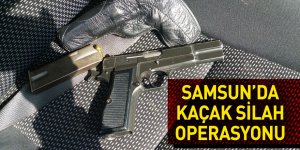 Samsun'da kaçak silah operasyonu