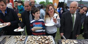 Şenlikte yarım ton mantar tüketildi