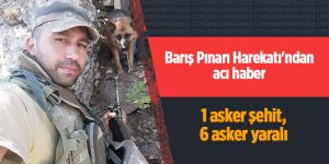 Barış Pınarı Harekatı'ndan acı haber