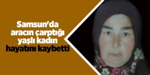 Yoldan karşıya geçemedi