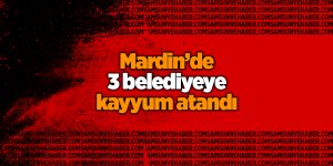 Mardin’de 3 belediyeye kayyum atandı