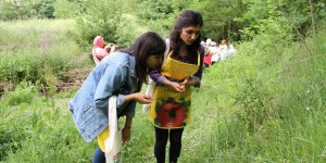 Samsun'da Yöresel Ot Yemekleri Festivali