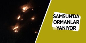 Bir kötü haber de Ayvacık'tan