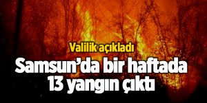 Samsun’da bir haftada 13 yangın çıktı