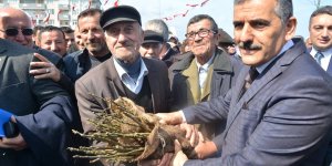 Yakakent’te 15 bin ceviz fidanı dağıtıldı