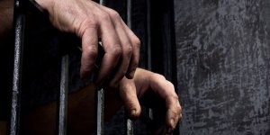 Odun çuvalları arasında yakalanan uyuşturucu şüphelisi tutuklandı