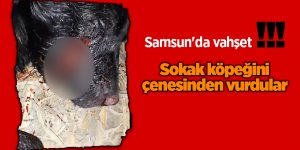 Samsun'da vahşet