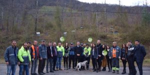 Ayvacık'ta sokak hayvanlarına kulübe ve mama desteği 