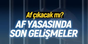 Yeni infaz düzenlemesinin detayları belli oldu