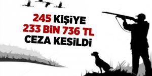 Samsun'da 245 kişiye 233 bin 736 TL ceza kesildi