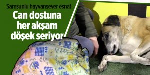 Samsunlu hayvansever esnaf can dostuna her akşam döşek seriyor