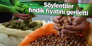Söylentiler fınıdık fiyatını geriletti