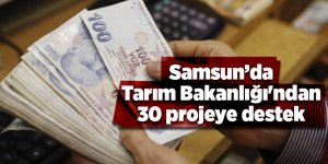 Samsun’da Tarım Bakanlığı'ndan 30 projeye destek