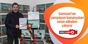 Samsun'un şampiyon kanaryaları onun elinden çıkıyor