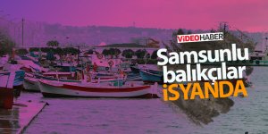 Balıkları Rusya ve Gürcistanlı balıkçılar tutuyor