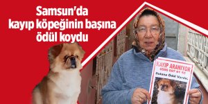 Samsun'da kayıp köpeğinin başına ödül koydu
